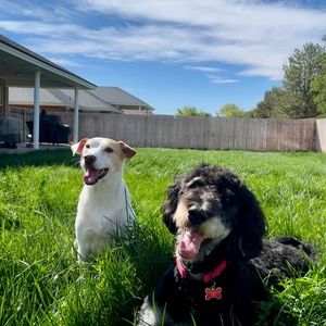 Meet your Posher, Courtney